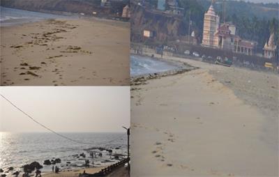 Pharmacological potential of Sargassum sp. of west coast of Maharashtra Kunkeshwar, India